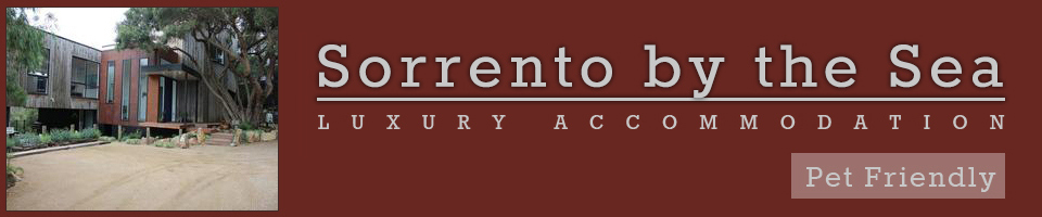 Sorrento Logo